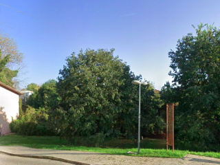 "Veduta esterna di un'area verde con un vialetto pavimentato in primo piano. Al centro si estende un prato con alberi folti, affiancato da un lampione moderno e da una sottile struttura metallica verticale di colore ruggine. Sulla sinistra si intravede l'angolo di un edificio, il tutto sotto un cielo azzurro limpido."