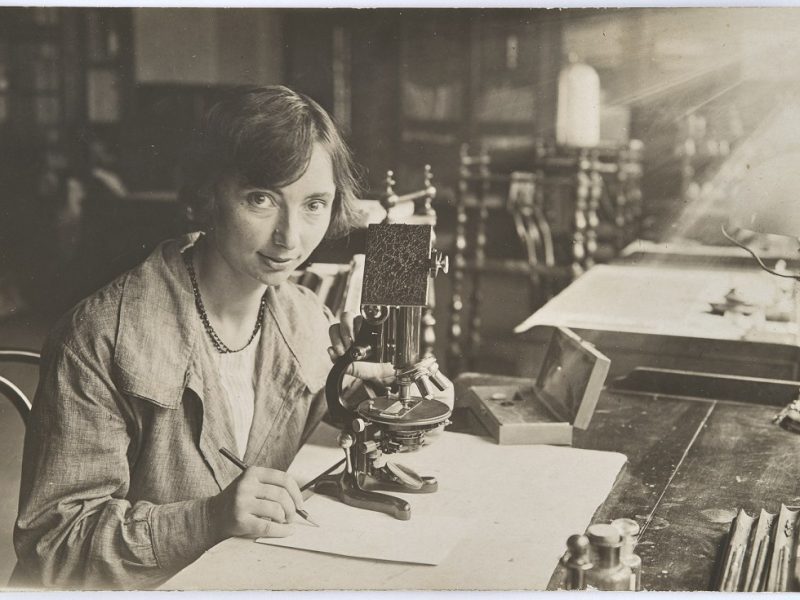 Il Museo di Storia Naturale omaggia Silvia Zenari a 130 anni dalla sua nascita
